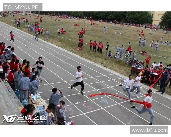 深圳篮球队在全国锦标赛中的拼搏历程与荣耀时刻全景回顾